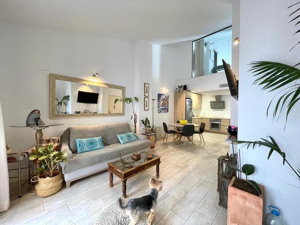 Stylish City Duplex